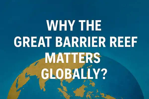 Why the Great Barrier Reef Matters Globally?