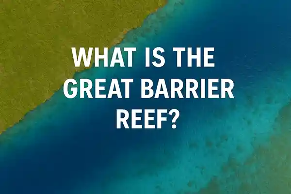 What Is the Great Barrier Reef?