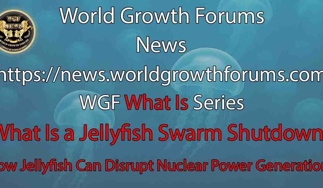 What Is a Jellyfish Swarm Shutdown?