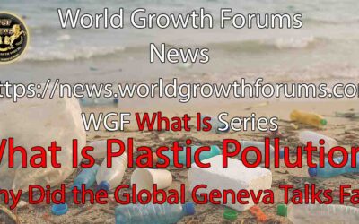 What Is Plastic Pollution?