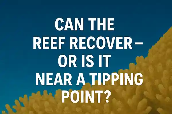 Can the Reef Recover – or Is It Near a Tipping Point?