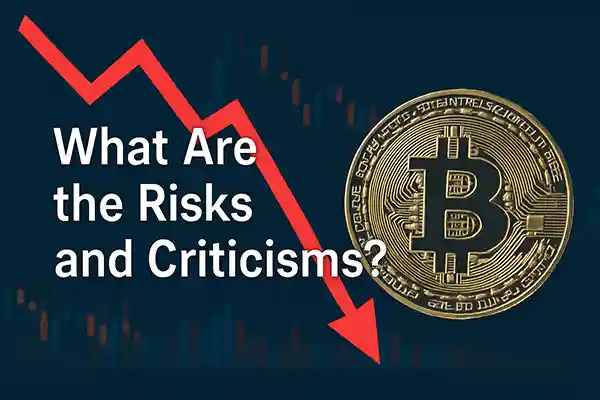 What Are the Risks and Criticisms?