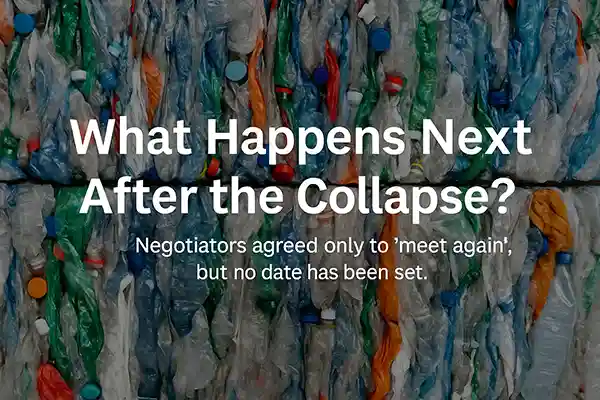 What Happens Next After the Collapse?