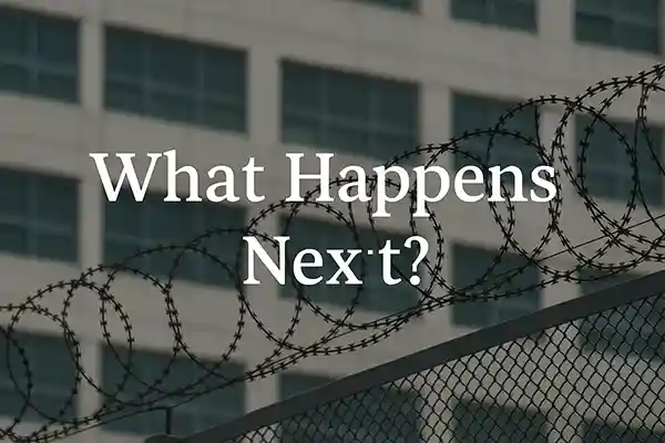 What Happens Next?