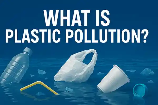 What Is Plastic Pollution?