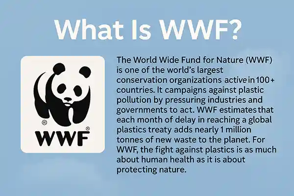 What Is WWF?