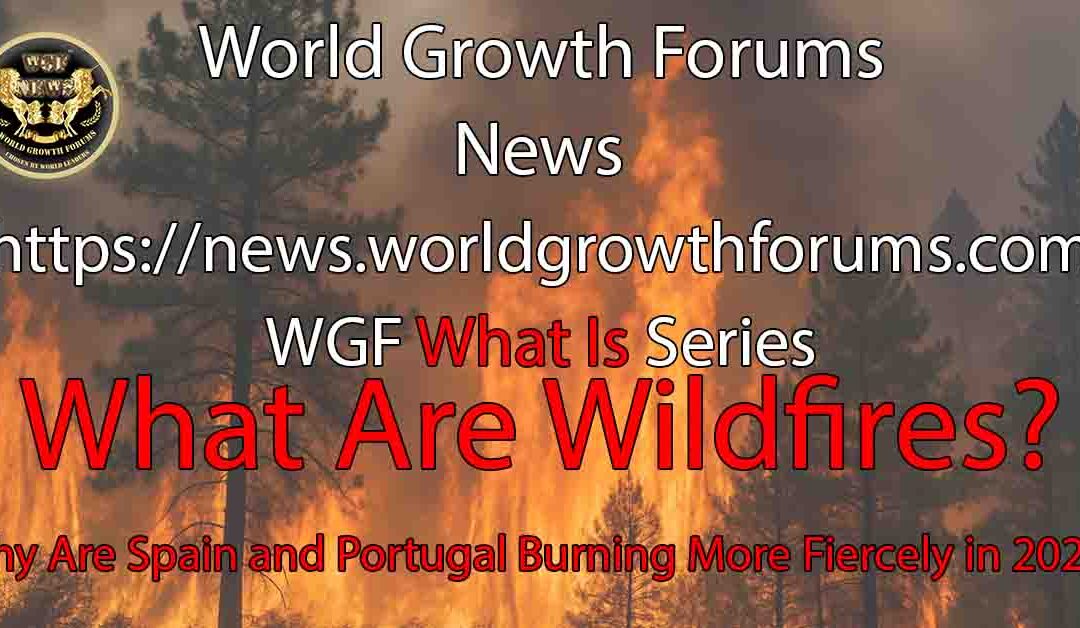 What Are Wildfires?