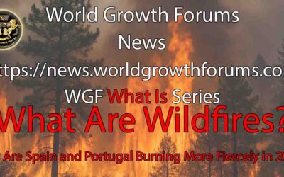 What Are Wildfires?